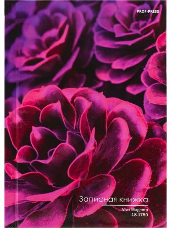 ЗАПИСНАЯ КНИЖКА А6 48л. VIVA MAGENTA - 1 (48-5740) 7БЦ, глянц.ламин., цвет.мелов.обл 467-0-159-05740 - купить в интернет-магазине «Буратино»