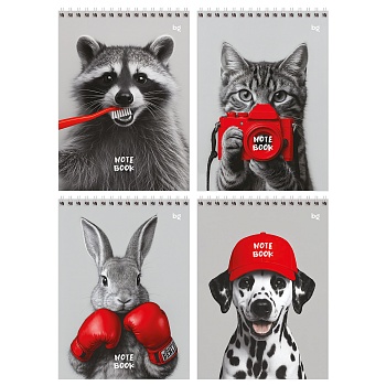 4