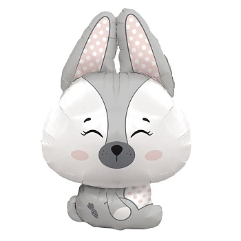 11728054