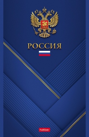 Блокнот 96л А5ф клетка на скобе-Россия- 96Б5В1_23516 - купить в интернет-магазине «Буратино»