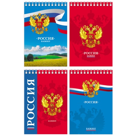 Блокнот А6 60л. на гребне BG "Россия" Б6гр60 8886 - купить в интернет-магазине «Буратино»