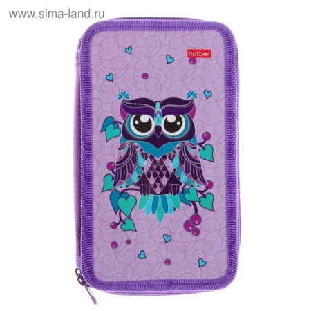 Пенал Hatber 190х110мм 2 отделения на молнии-Owl- NPn_69068 - купить в интернет-магазине «Буратино»