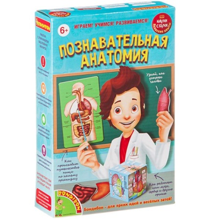 Японские опыты Науки с Буки BONDIBON, Познавательная анатомия, арт. 196426 ВВ1836 - купить в интернет-магазине «Буратино»
