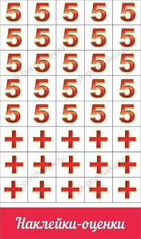 11564370