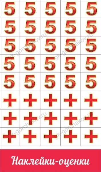 11564370
