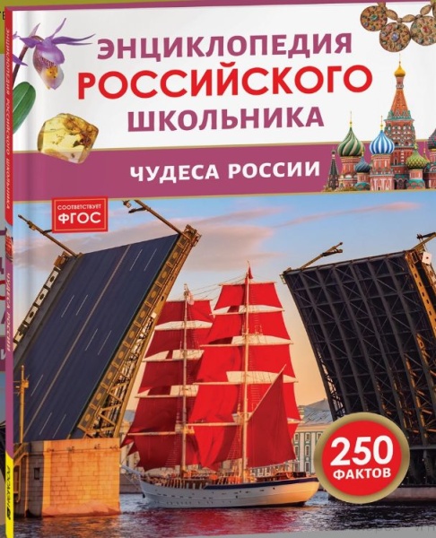 11734834