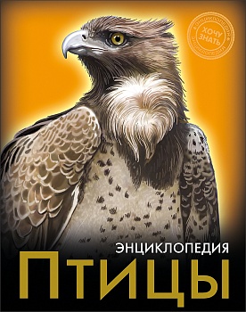 11180466