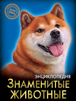 11587199