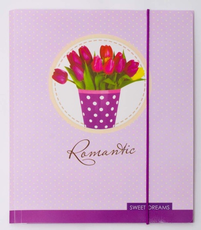 Папка на резинке В5 "Sweet Dreams"  L6210 490833 - купить в интернет-магазине «Буратино»
