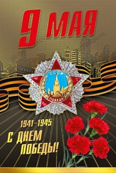 11561364