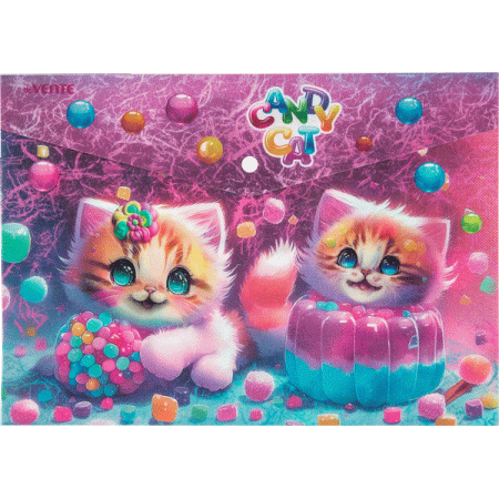 Папка-конверт на кнопке "deVENTE. Candy Cat" A4 (330x235 мм) 180 мкм, матовая полупрозрачная с рисун - купить в интернет-магазине «Буратино»