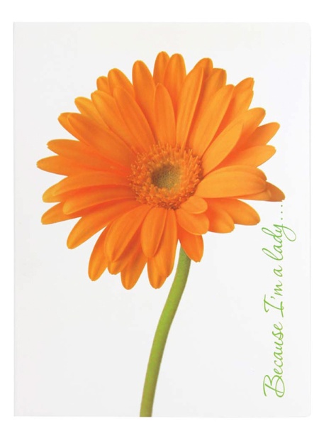 11342521