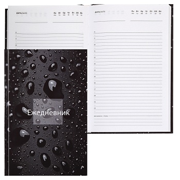 11733257
