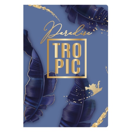 Обложка для паспорта ПВХ FIORENZO Gold Tropic печать без уголков 232609 232609 - купить в интернет-магазине «Буратино»
