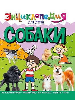 11591676