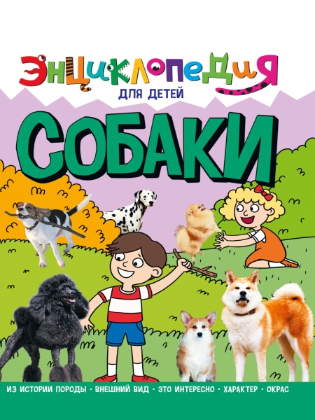 11591676