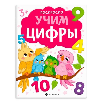 11709027