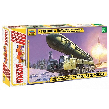 11590449