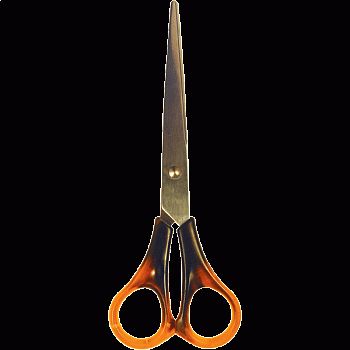 11586568