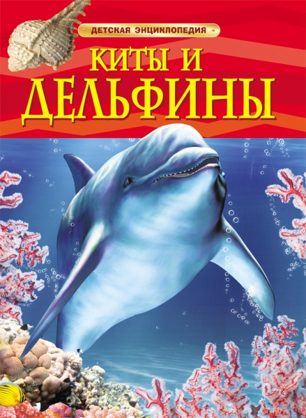 11203657