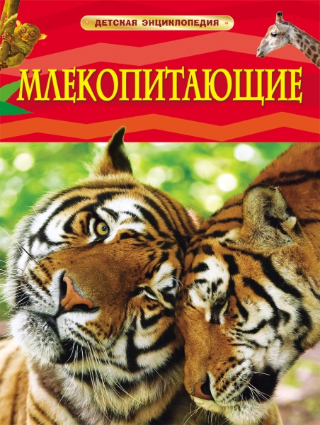 11185652