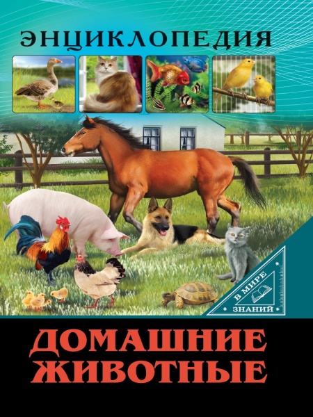 11459737