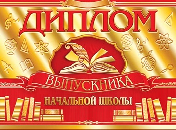 11374123