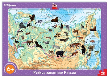 11499345