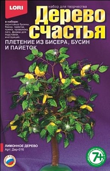 11204255