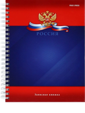 Записная книга на гребне А5 120л. СИМВОЛИКА РОССИИ - 5 (120-6795) (7БЦ, глянц.ламинирование) 120-679 - купить в интернет-магазине «Буратино»