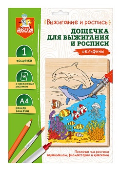 11605005