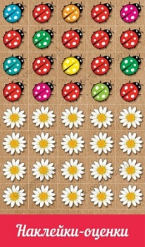 11564367