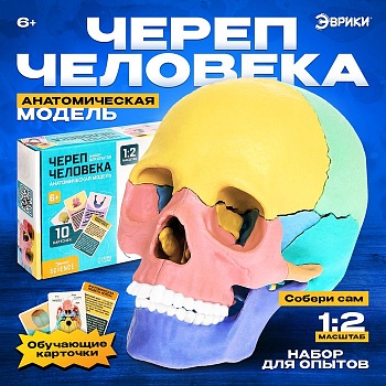11709333