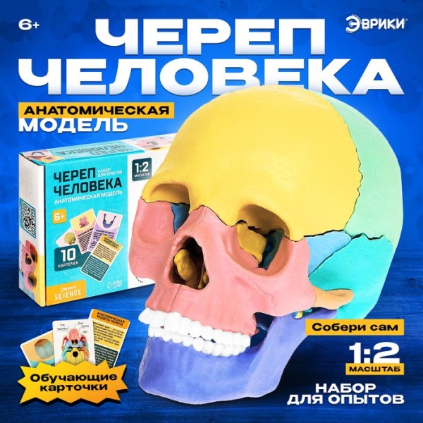 11709333