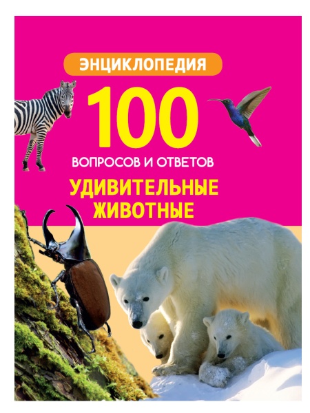 11465358