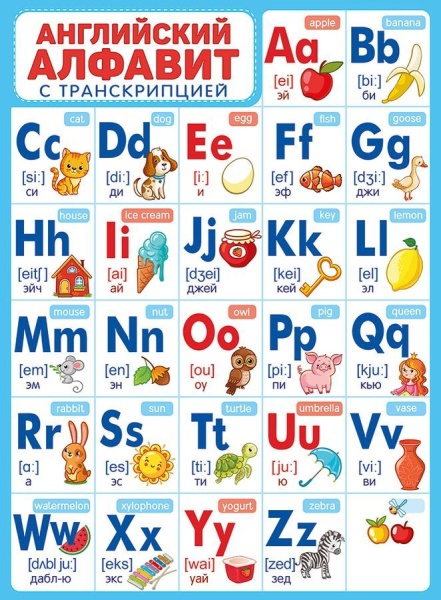 11486881