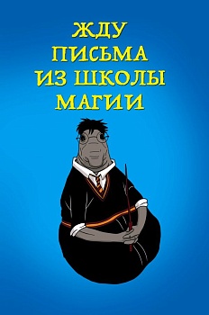 11561167