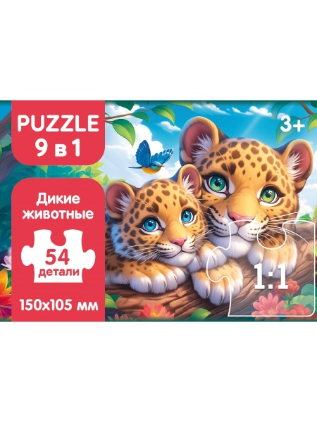 12549816