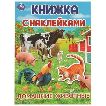 11704071