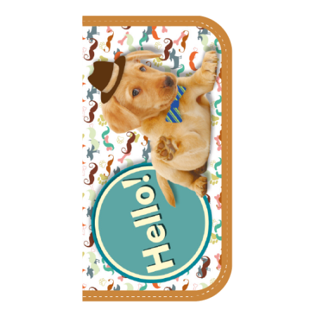 Пенал двухсекционный большой, HELLO, DOG! 2017, ПО-09 - купить в интернет-магазине «Буратино»