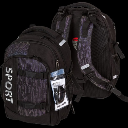 Рюкзак "deVENTE. Ergo. Sport" школьный 39x28x20 см 7033513 - купить в интернет-магазине «Буратино»
