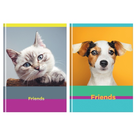 Бизнес-блокнот А5, 80л., BG "Friends", глянцевая ламинация ББ5т80_лг 12126 - купить в интернет-магазине «Буратино»